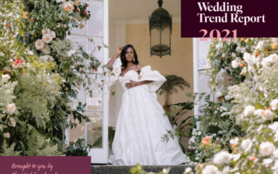 Superspreader Events by Sam Lloyd, The Wedding Owl